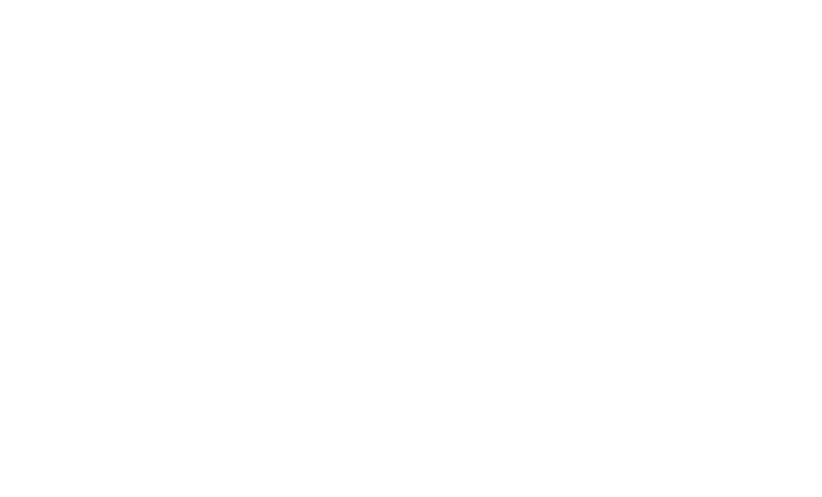 Flint Life